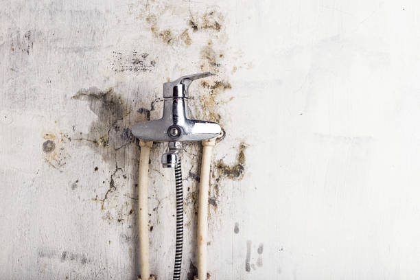 Best Water Damage Restoration  in Dover Plains, NY