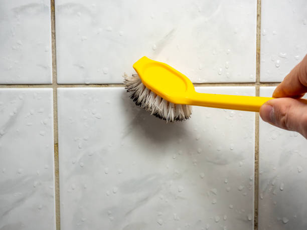 Best Same-Day Mold Removal  in Dover Plains, NY