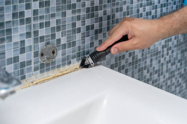 Best Black Mold Removal  in Dover Plains, NY